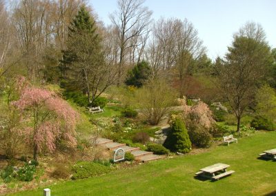 Catskill Medical Center Woodland Wildings & Healing Garden