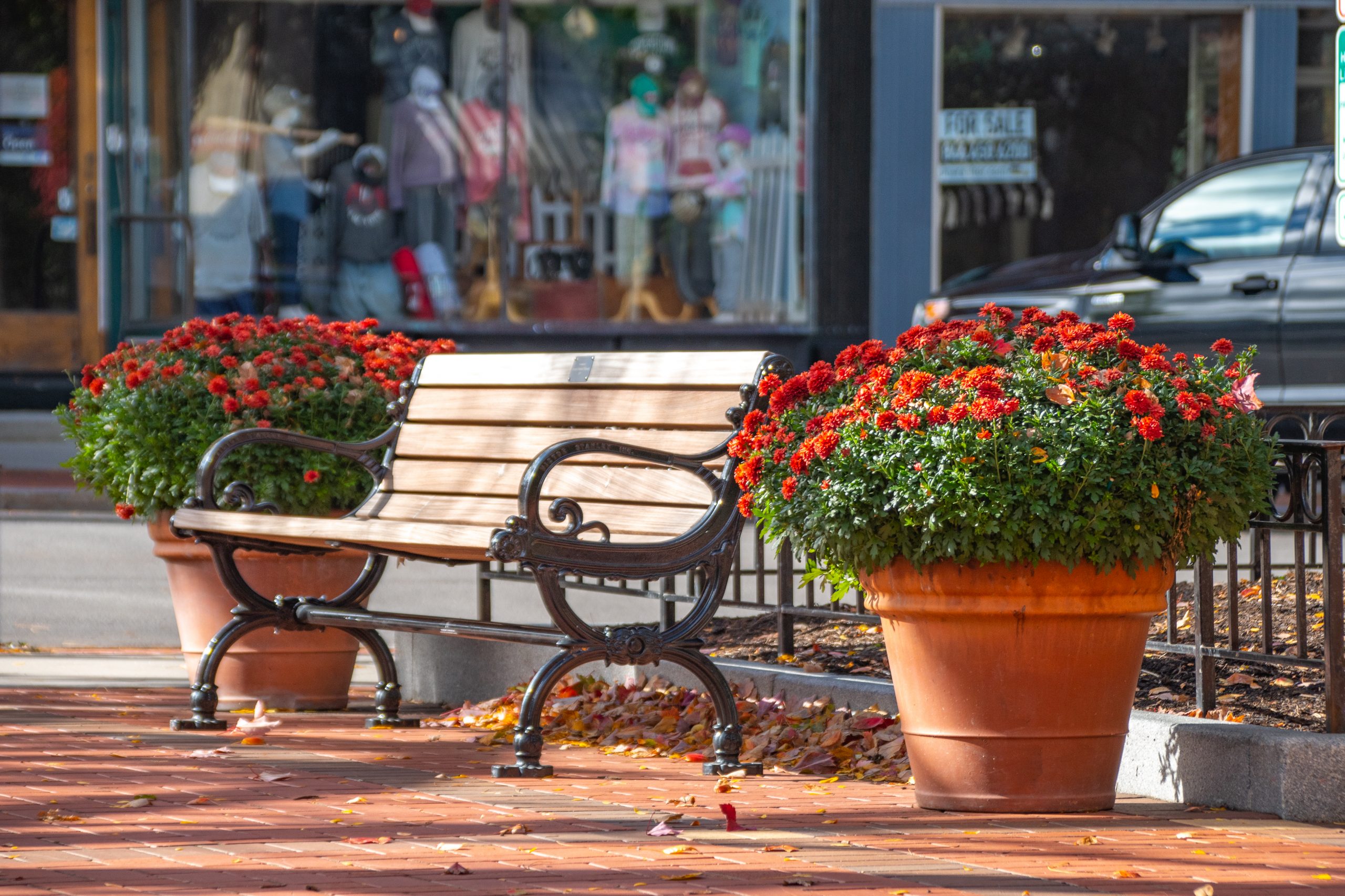 Village of Cooperstown Pioneer Park Improvements Delta Engineers