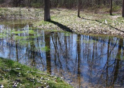 Edgewater Company Wetland Delineation, Permitting, and Construction Oversight