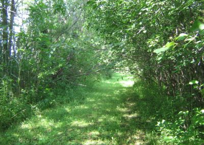 NYSLSTF Endangered Species Assessment