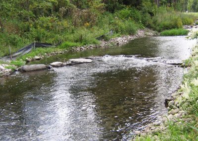 Envirospec, LLC Skaneateles Creek Restoration Design and Inspection